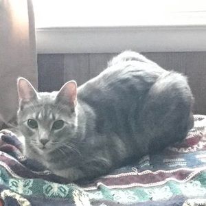 Meet your Posher, Demetrish